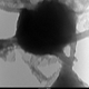 Image for article titled Motion Gallery 2